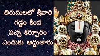 శ్రీవారి గడ్డం కింద పచ్చకర్పూరం ఎందుకు పెడతారు..?ఆంతర్యం ఏంటి..?