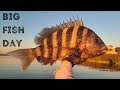 Simple Fishing Rig Caught Multiple Giant Fish! My Biggest Day In Months