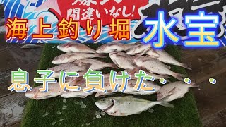 『海上釣り堀』「水宝」息子に負けた・・・