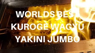 Best Kuroge Wagyu Meal Yakiniku Jumbo BBQ Tokyo Restaurant in Hong Kong Harry Soo SlapYoDaddyBBQ