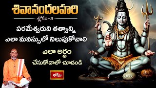 ఆ పరమేశ్వరుని తత్వాన్ని ఎలా మనస్సులో నిలుపుకోవాలి ఎలా అర్ధం చేసుకోవాలో చూడండి | Shivanandha Lahari