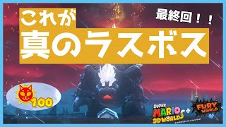 【フューリーワールド #17】ネコシャイン100個集めて出てくる真のラスボス＆クリア後限定の演出に感動が止まらない！！フューリーワールド実況最終回！！