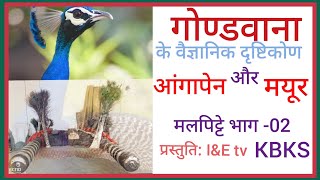 आंगा पेन और मयूर पक्षी : मल पिट्टे भाग-०२ गोंडवाना का वैज्ञानिक दृष्टिकोण: ऊर्जा चक्र ,भिमा लिंगो