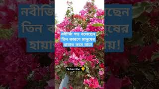 তিন কারণে মানুষের হায়াত কমে যায় #motivation #ytshorts #islam #islamicstatus