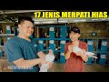 MENGENAL JENIS - JENIS MERPATI HIAS PART1