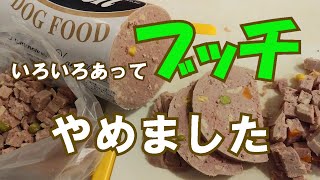 🐶【ブッチ】デメリットが気になってやめました･･･＃86【ウェットフード】【トイプードル】