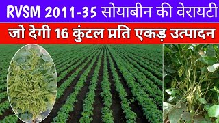 RVSM 2011-35 सोयाबीन की संपूर्ण जानकारी / सोयाबीन की नई किस्में / RVSM 2011-35 Soybean Veriety