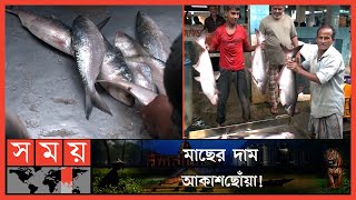 বৈরী আবহাওয়ায় কমেছে সামুদ্রিক মাছের সরবরাহ! | Fish Market | Fish Price | Khulna News | Somoy TV