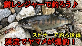 鱒レンジャーで釣ろう♪渓流でヤマメが爆釣！スピナーで釣る後編