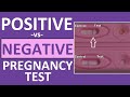 Pregnancy Test: Positive vs Negative Results Time Lapse