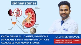 Kidney & Ureter Stones | Causes, Symptoms, Diagnosis & best treatment options | Healing Hospital
