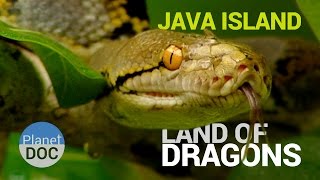 Java Island  [Indonesia]. Land of Dragons | Nature - Planet Doc Full Documentaries