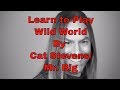 Learn How to Play Wild World by Cat Stevens/Mr. Big - Steve Stine Guitar Lesson