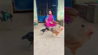 ରୂପାର ଚଢେଇ ଉଡି ତୁ ଆରେ..#shorts video#like for like