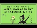 How to Control Weeds on Organic Farms | Tools & Advice