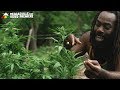 Ras Zacharri - Di Herbs [Official Video 2020]