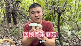 李佳带着孩子们去山上采蘑菇，摘了满满一篮子，孩子们太开心了