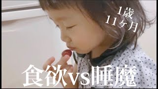 食べたい？寝たい？食欲と睡魔を両立させた1歳児【歳の差姉妹】