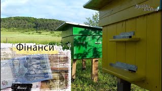 Чим пахнуть гроші? Пасіка - це бізнес чи хобі? Випуск №2 (ТК \