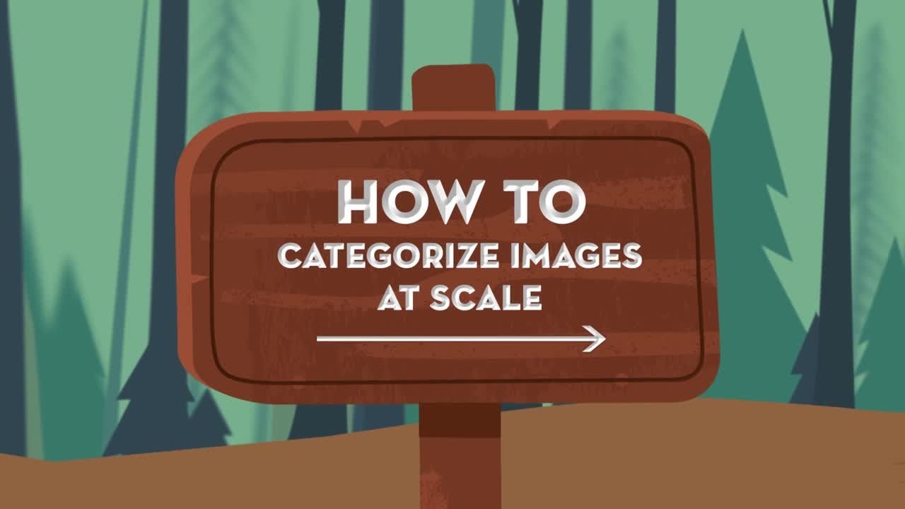 Einstein Platform Vision Youtube