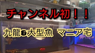 お宅訪問…圧巻の生体と情に熱き魂の漢‼️随所にある拘りとは‼️