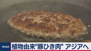 アジア向け大豆由来の人工肉