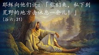 16th Sunday of Ordinary Time-Mandarin Mass 常年期第十六主日华文弥撒现场直播