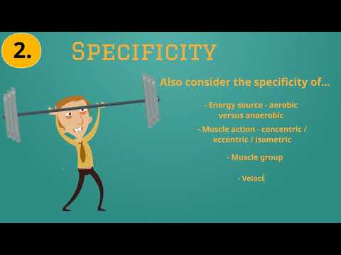 What are the 4 principles of exercise?