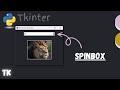 A Spinbox to Spin Through Images in 2 ways | Python