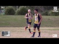 2016 bdafl 2nd division full match replay entrance bateau bay v muswellbrook cats