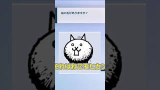 アキネーターで狂乱の猫当ててみた～！＃Shorts