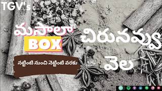 చిరునవ్వు వెల  (Chirunavvu Vela) | TGV Masala box