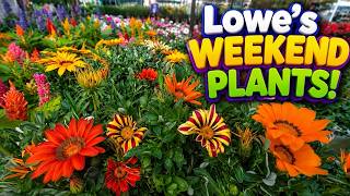 Lowe’s Garden Center is BURSTING with Color! 🌸 Weekend Plant Deals & New Arrivals