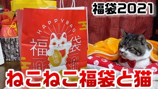 【福袋2021】ねこねこ福袋の中身をリキちゃんと一緒に見てみよう♪食パンをカットする時の猫の顔が笑えるｗ☆福袋紹介☆ねこねこ食パン