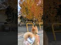 お姉ちゃんの学校 *^^* まだかなぁ ポメラニアン 可愛い 小型犬