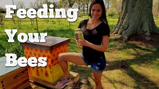 Feeding Your Bees: Making Sugar Water