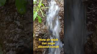 mata air segar sejuk dan besar dibawah rumah  , Alhamdulillah