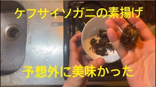 ドブ運河河口のイソガニを素揚げで食べたら予想を裏切ってくれた