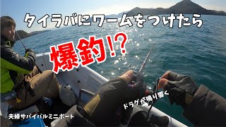 【ミニボート釣り】タイラバにワームを付けるだけで爆釣した#タイラバトレーラー