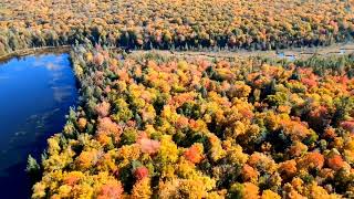 枫叶红了，金秋，美景。Maple leaves are red, golden autumn, beautiful scenery, Halliburton, Canada