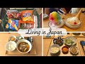 grocery shopping, shaved ice treat, Kimchi making, vinegar soy sauce braised chicken| japan vlog