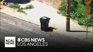 LA County Medical Examiner identifies body found inside trash can