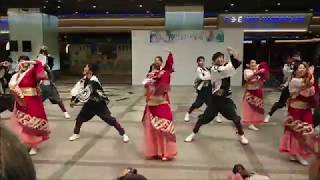 環温＊神戸よさこい2019＊デュオ神戸会場(中)