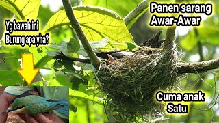 Playtube Pk Ultimate Video Sharing Website