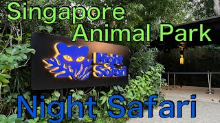 Singapore Animal park【Night safari】【シンガポール ナイトサファリ】夜限定の動物園 動物ショーのみ