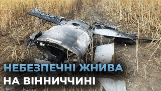 У полі на Вінниччині вибухотехніки нацполіції знешкодили російську ракету Х-101