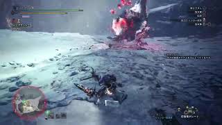 [やり込み] トロコン目指してのんびり観察依頼埋め [MHW:IB]