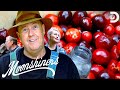 Mark and Digger Make Incredible Apple Cranberry Brandy | Moonshiners