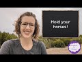 Idiom - to hold your horses