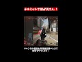 テルミットの視認性こんなに悪かったっけ？【apex】